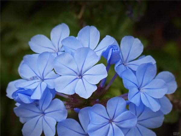 温暖入心的励志唯美句子 ，美好阳光，充满睿智和正能量